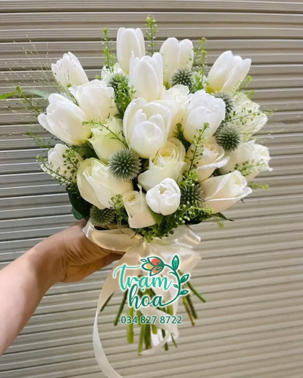 Tình Sương Mai