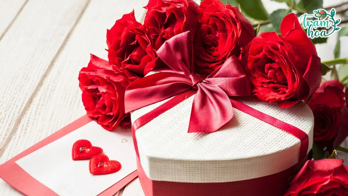 Hoa hồng là món quà ý nghĩa trong ngày lễ tình nhân Valentine