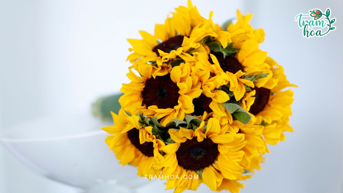 Bo hoa cuoi tu hoa huong duong phu hop voi co dau Menh Tho Bó hoa cưới từ hoa hướng dương phù hợp với cô dâu Mệnh Thổ