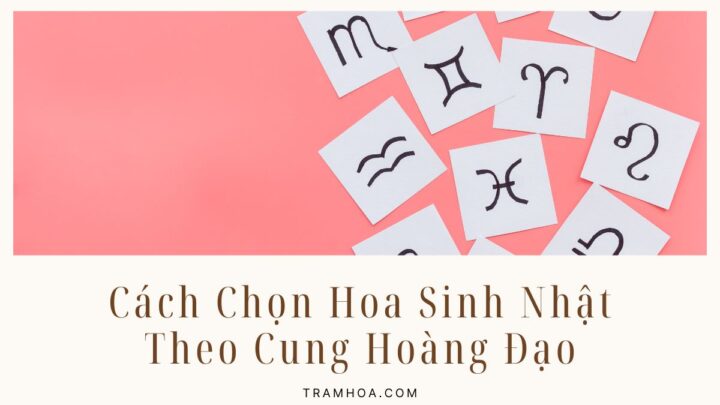 Cách Chọn Hoa Sinh Nhật Theo Cung Hoàng Đạo
