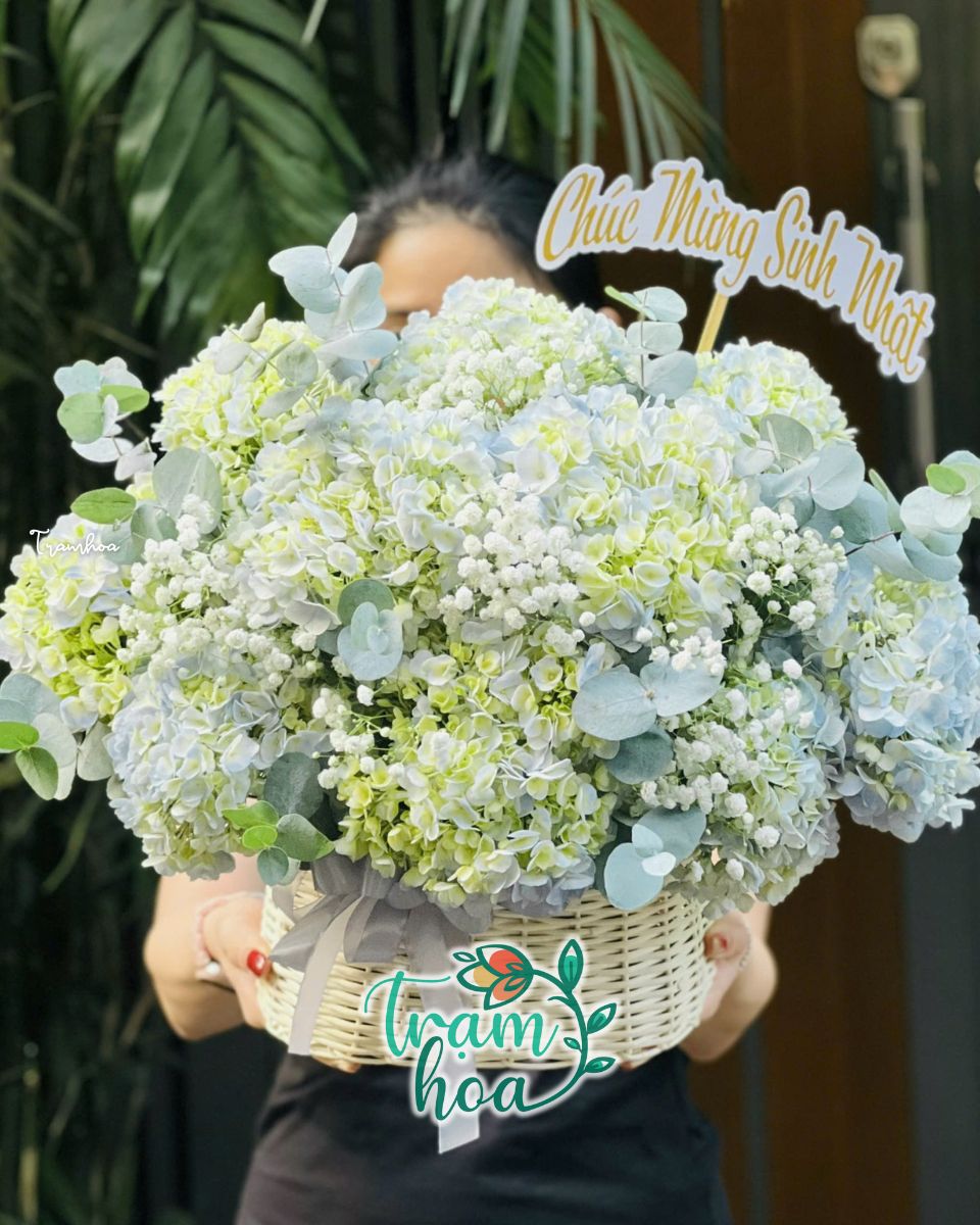 Giỏ hoa cẩm tú cầu đẹp chúc mừng mọi dịp