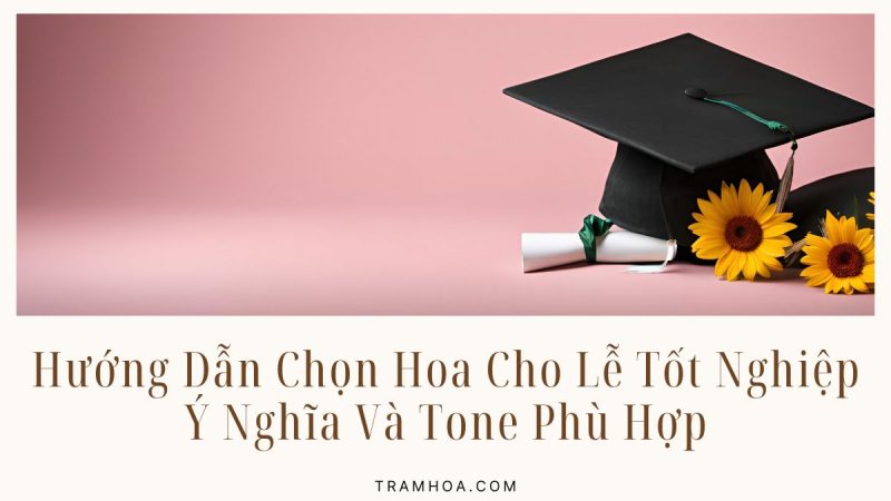 Hướng Dẫn Chọn Hoa Cho Lễ Tốt Nghiệp - Ý Nghĩa Và Tone Phù Hợp