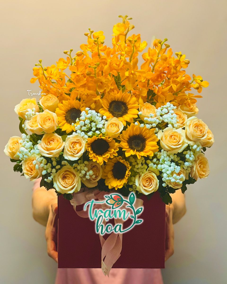 Lẵng hoa lan phối hồng và hướng dương – Sang trọng, thể hiện lời chúc mừng chân thành