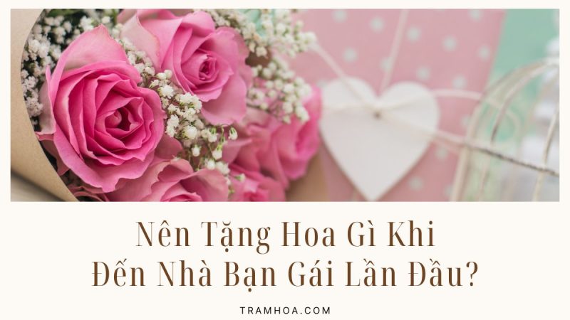 Nên Tặng Hoa Gì Khi Đến Nhà Bạn Gái Lần Đầu?