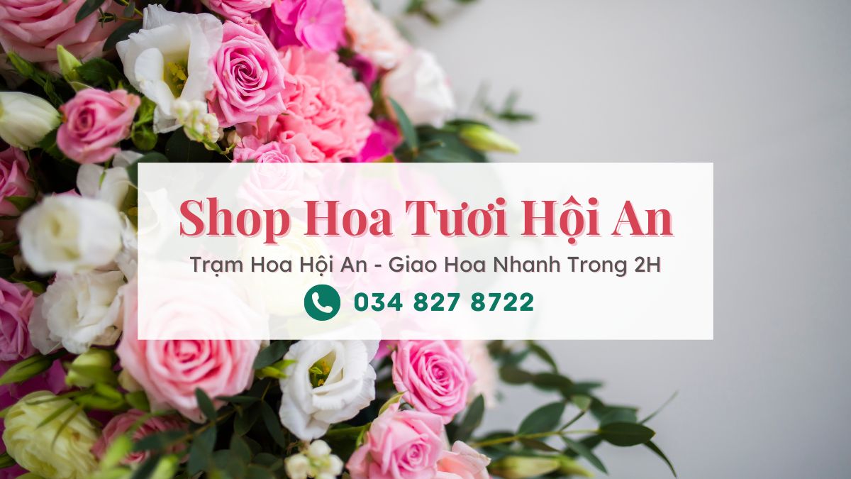 Shop hoa tươi Hội An | Trạm Hoa Hội An