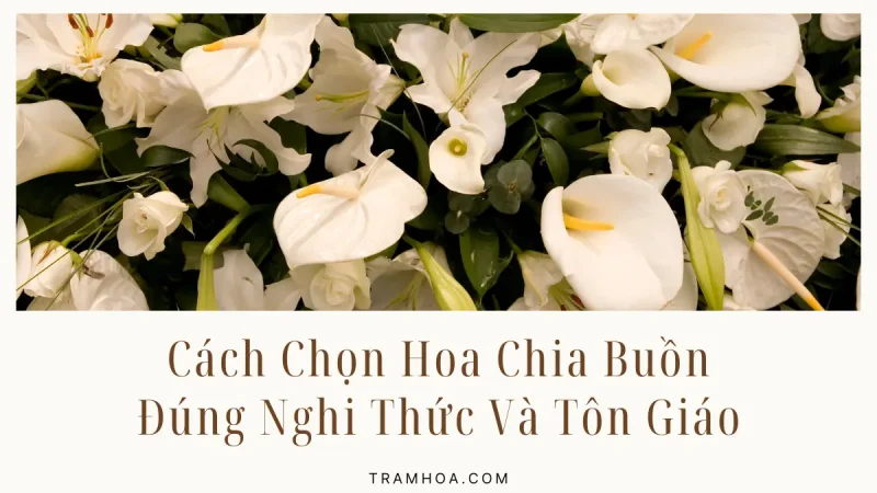 Cách Chọn Hoa Chia Buồn Đúng Nghi Thức Và Tôn Giáo