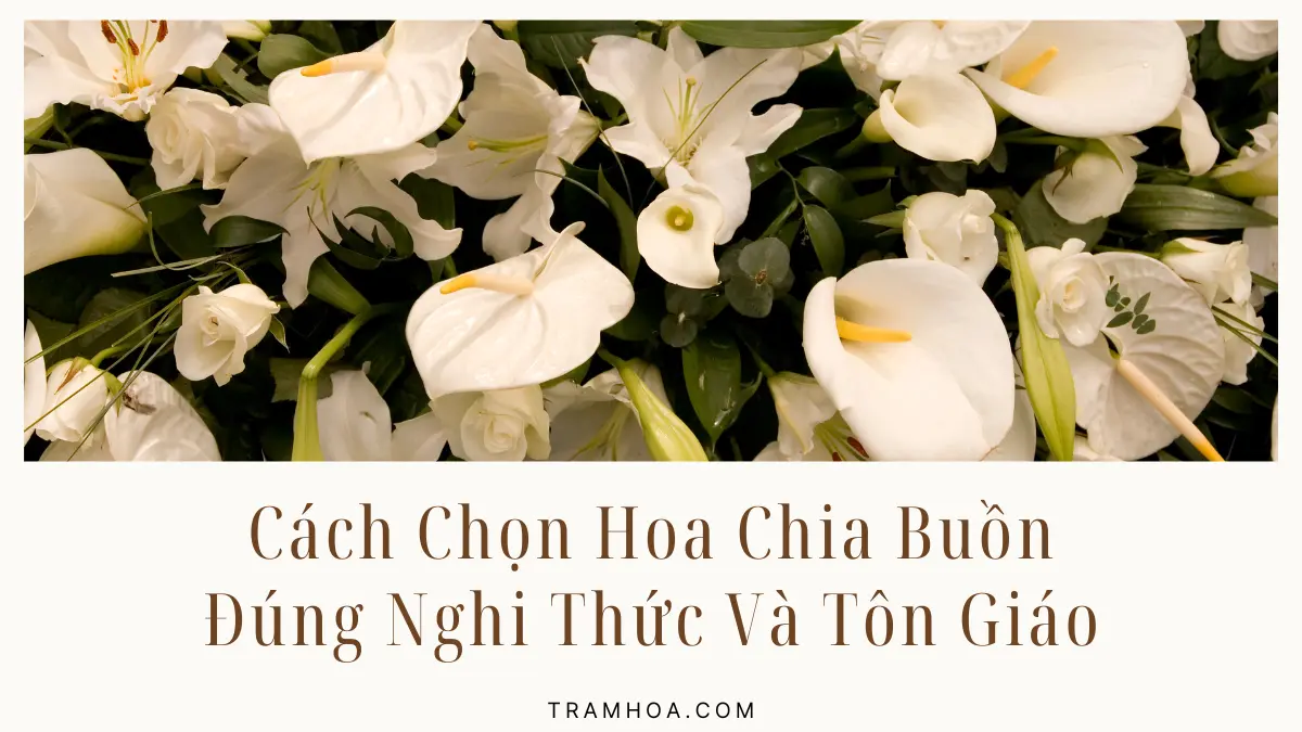 Cach Chon Hoa Chia Buon Dung Nghi Thuc Va Ton Giao Cách Chọn Hoa Chia Buồn Đúng Nghi Thức Và Tôn Giáo