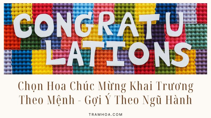 Chọn Hoa Chúc Mừng Khai Trương Theo Mệnh – Gợi Ý Theo Ngũ Hành