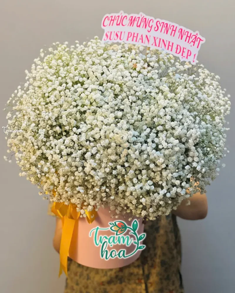 Lặng Lẽ Thương Yêu