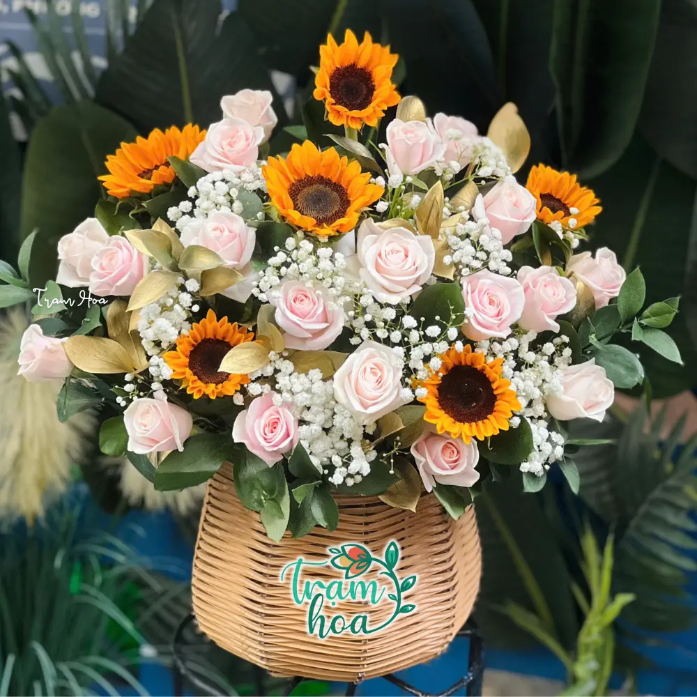 Lang Hoa Huong Duong Ket Hop Hong Kem Tang Chia Tay Dong Nghiep Lẵng Hoa Hướng Dương Kết Hợp Hồng Kem Tặng Chia Tay Đồng Nghiệp