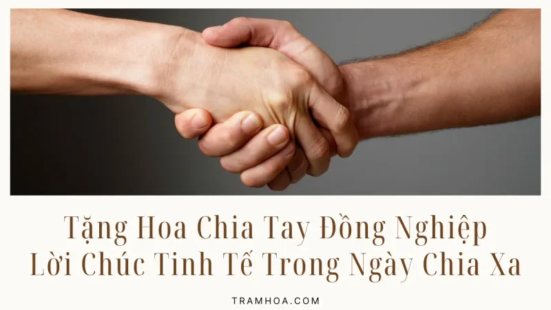 Tặng Hoa Chia Tay Đồng Nghiệp - Lời Chúc Tinh Tế Trong Ngày Chia Xa