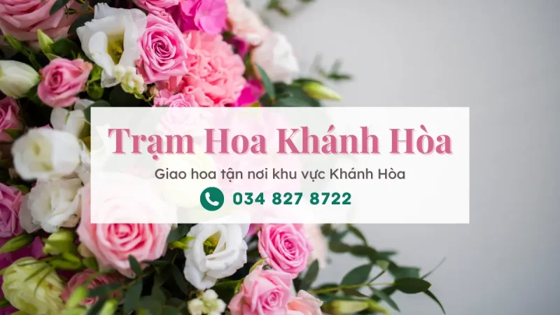 Trạm Hoa Khánh Hòa - Shop hoa tươi Khánh Hòa