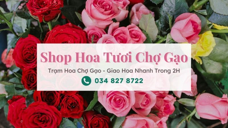 Shop Hoa Tươi Chợ Gạo Tiền Giang