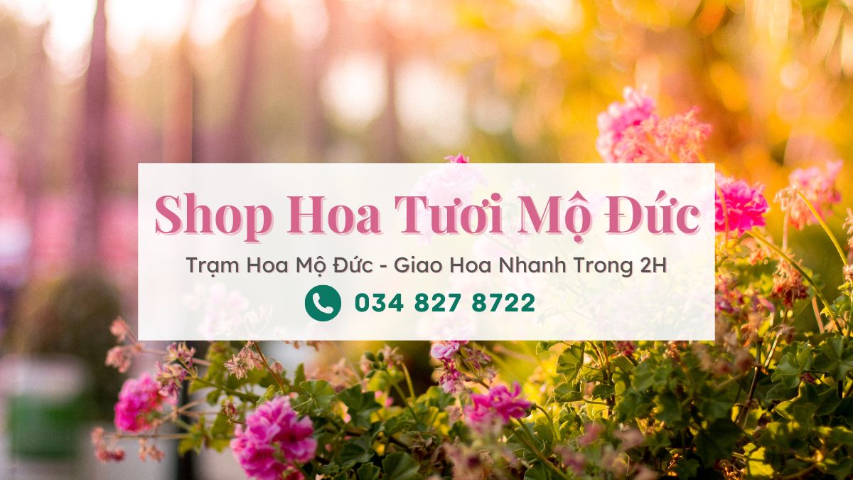 Shop hoa tươi Mộ Đức Quảng Ngãi