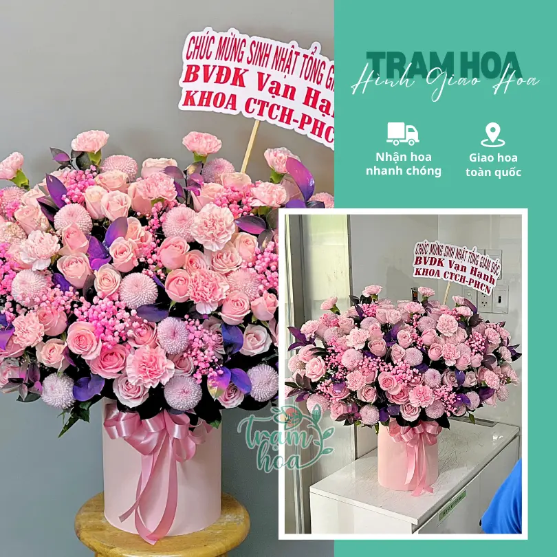 Feedback Tram Hoa 10