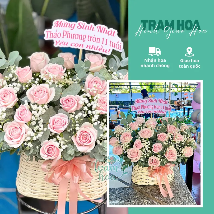 Feedback Tram Hoa 11