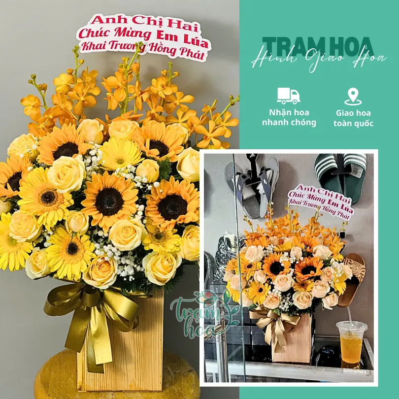 Feedback Tram Hoa 12