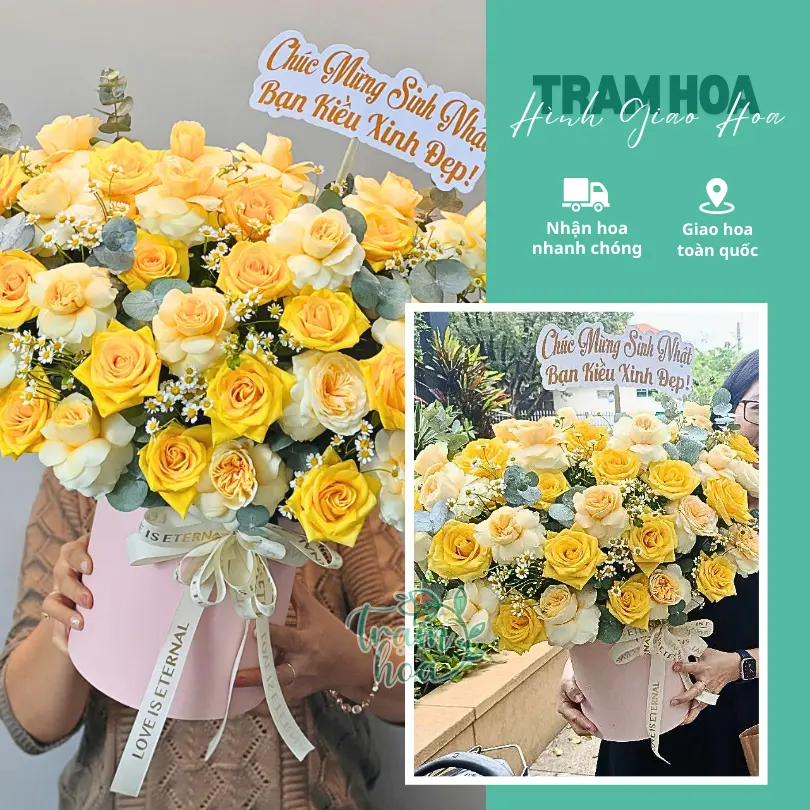 Feedback Tram Hoa 14