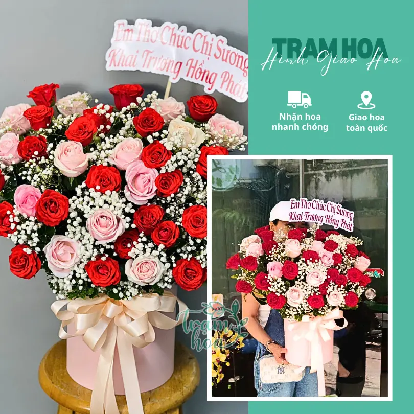 Feedback Tram Hoa 17