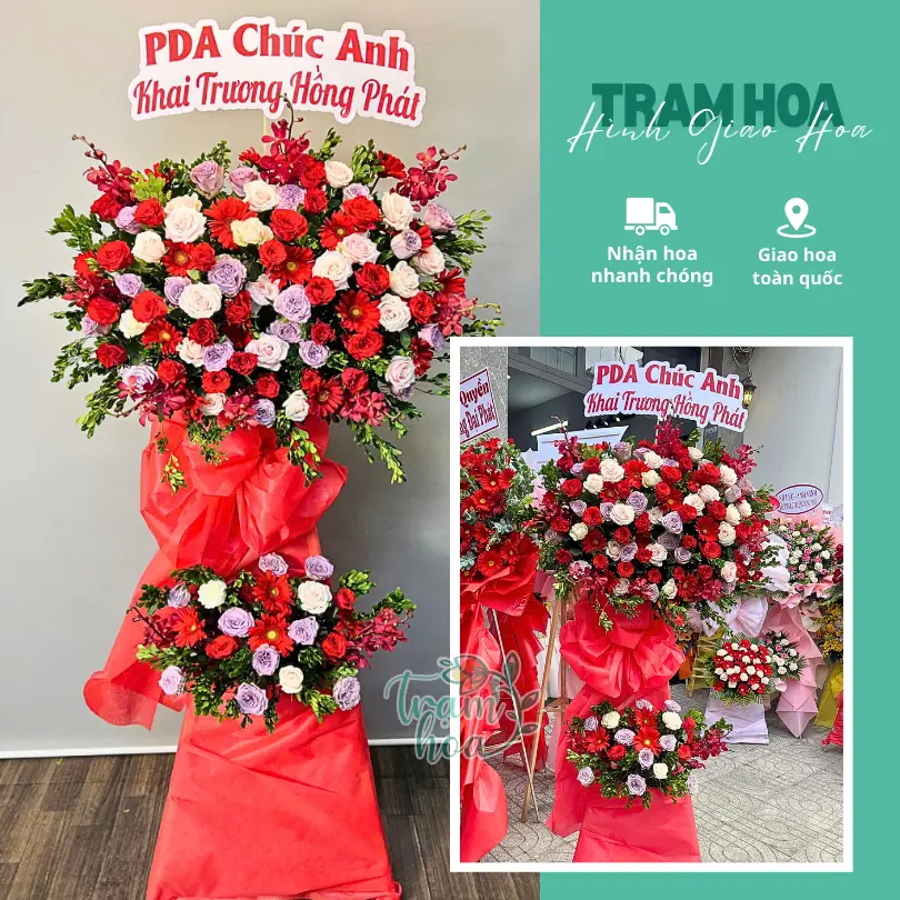 Feedback Tram Hoa 18