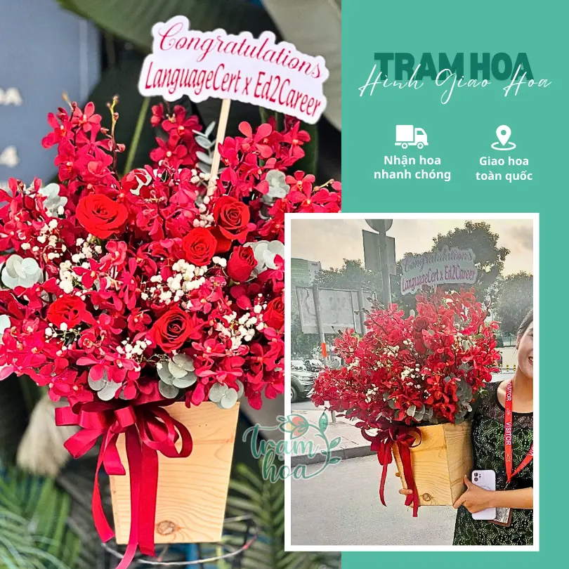 Feedback Tram Hoa 19