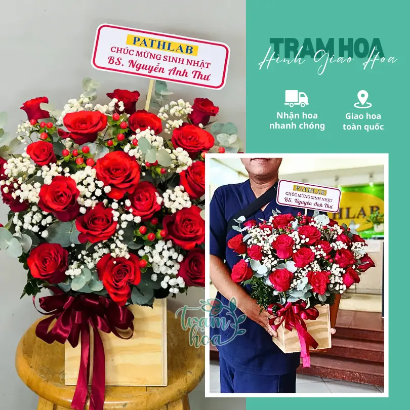 Feedback Tram Hoa 24