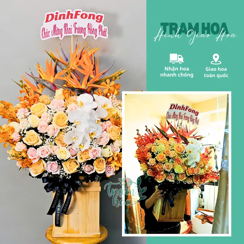 Feedback Tram Hoa 27