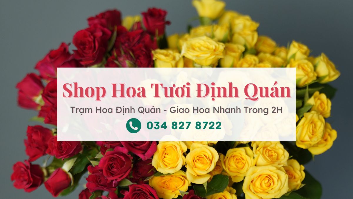 Shop Hoa Tươi Định Quán Đồng Nai | Trạm Hoa Định Quán