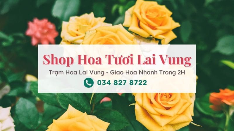 Shop Hoa Tươi Lai Vung Đồng Tháp – Trạm Hoa Lai Vung