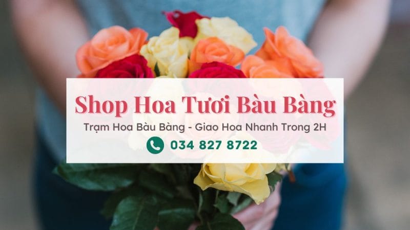 Shop hoa tươi Bàu Bàng Bình Dương | Trạm Hoa Bàu Bàng