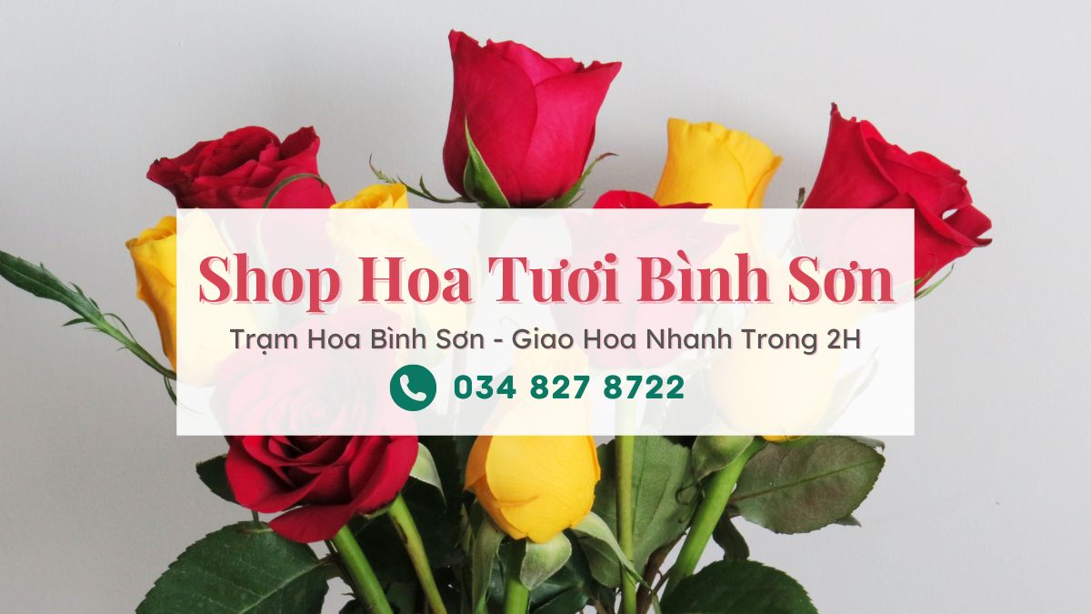 Shop hoa tươi Bình Sơn Quảng Ngãi | Trạm Hoa Bình Sơn