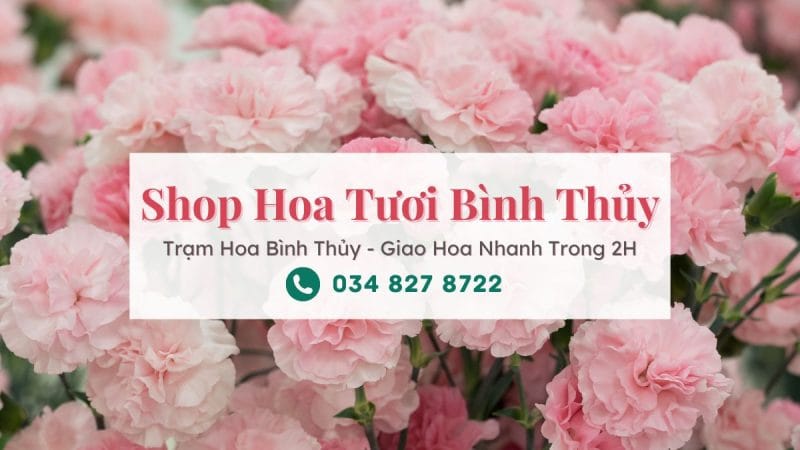 Shop hoa tươi Bình Thủy Cần Thơ | Trạm Hoa Bình Thủy