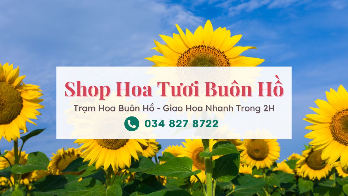 Shop hoa tươi Buôn Hồ | Trạm Hoa Buôn Hồ