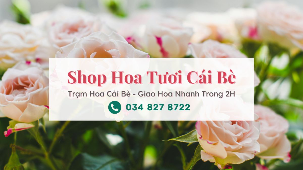 Shop hoa tươi Cái Bè Tiền Giang - Trạm Hoa Cái Bè