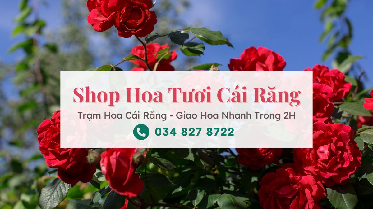 Shop hoa tươi Cái Răng Cần Thơ | Trạm Hoa Cái Răng