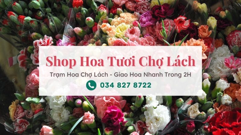 Shop hoa tươi Chợ Lách | Trạm Hoa Chợ Lách