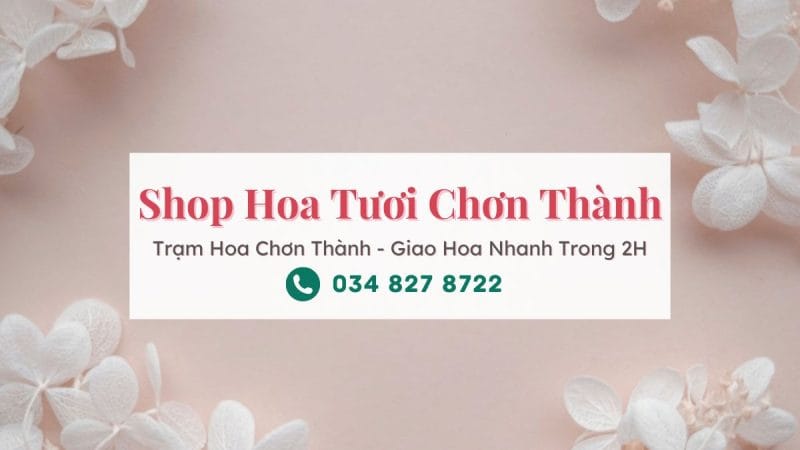 Shop hoa tươi Chơn Thành - Trạm Hoa Chơn Thành