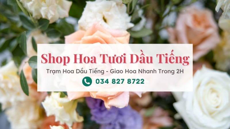 Shop hoa tươi Dầu Tiếng Bình Dương | Trạm Hoa Dầu Tiếng