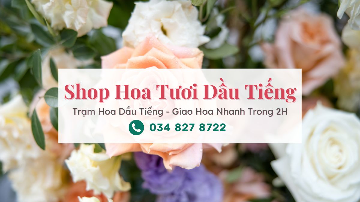 Shop hoa tuoi Dau Tieng Binh Duong Tram Hoa Dau Tieng Shop hoa tươi Dầu Tiếng Bình Dương | Trạm Hoa Dầu Tiếng