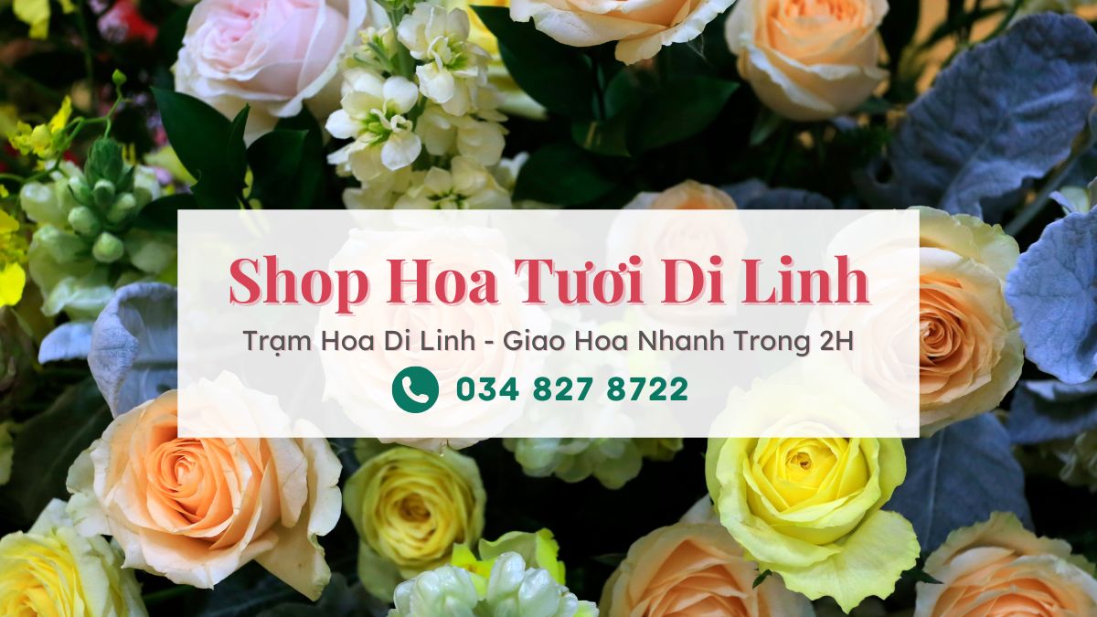 Shop hoa tươi Di Linh Lâm Đồng - Trạm Hoa Di Linh