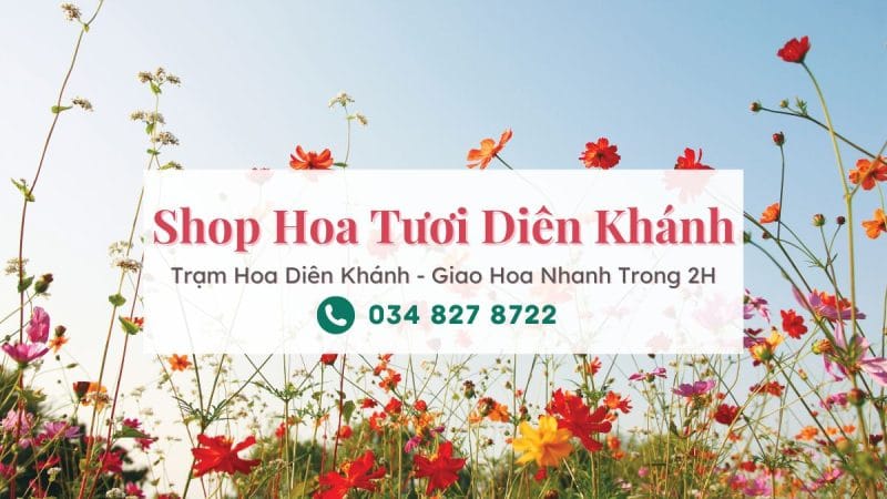 Shop hoa tươi Diên Khánh Khánh Hòa | Trạm Hoa Diên Khánh