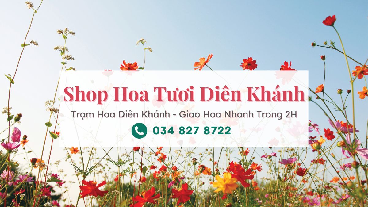 Shop hoa tươi Diên Khánh Khánh Hòa | Trạm Hoa Diên Khánh