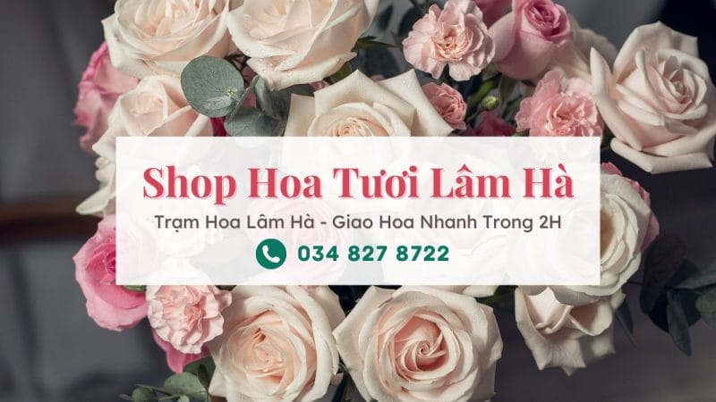 Shop hoa tươi Lâm Hà Lâm Đồng - Trạm Hoa Lâm Hà