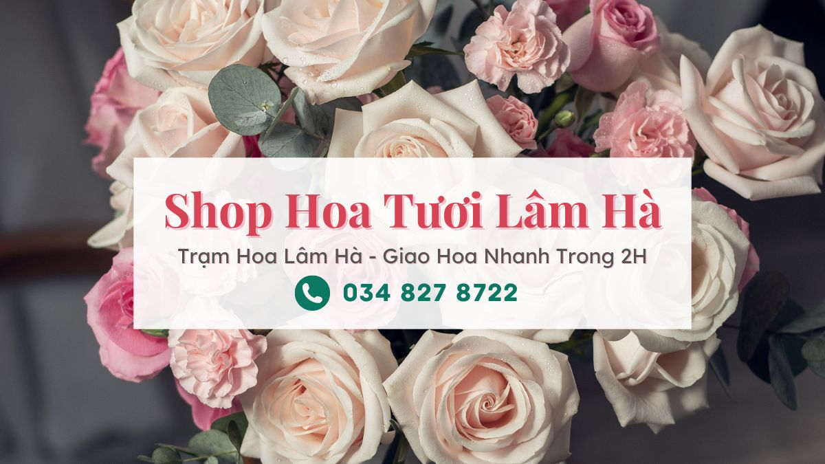 Shop hoa tươi Lâm Hà Lâm Đồng - Trạm Hoa Lâm Hà