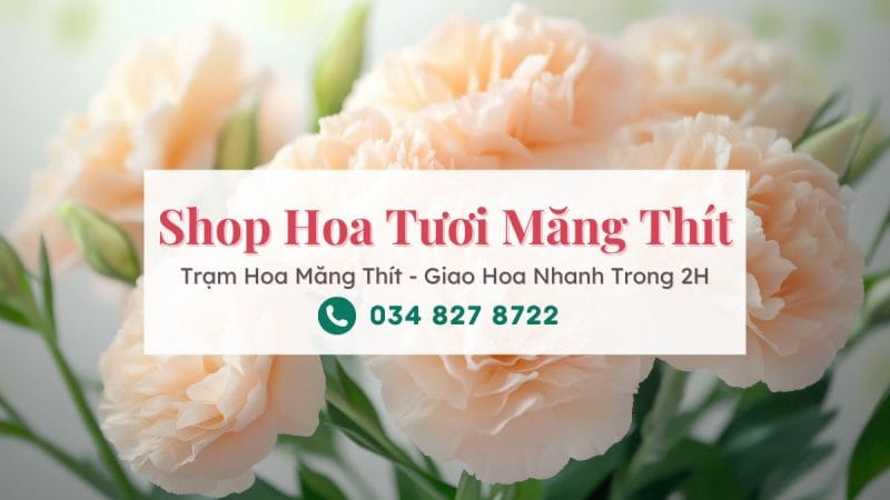 Shop hoa tươi Măng Thít | Trạm Hoa Măng Thít