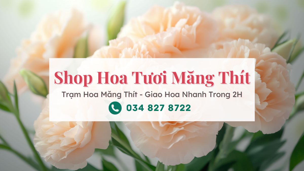 Shop hoa tươi Măng Thít | Trạm Hoa Măng Thít