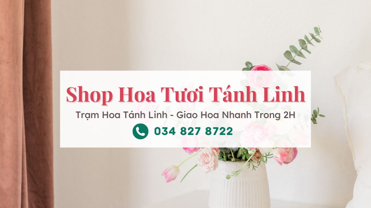 Shop hoa tươi Tánh Linh | Trạm Hoa Tánh Linh