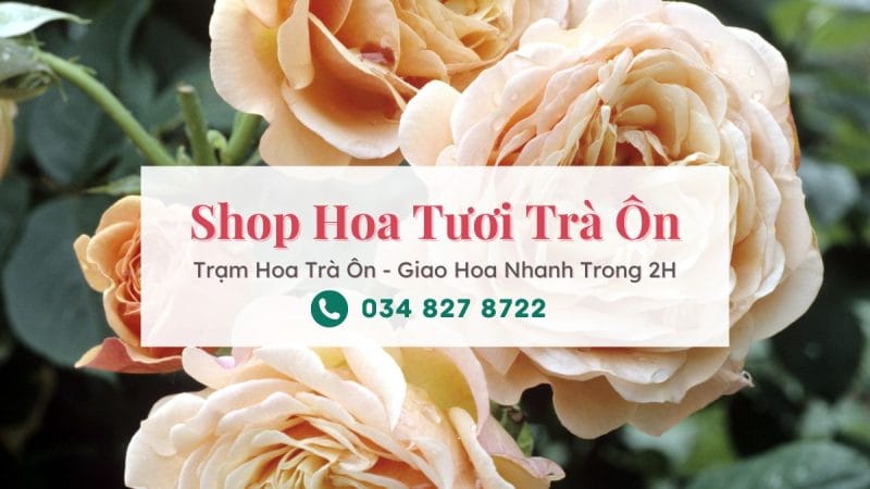 Shop hoa tươi Trà Ôn - Trạm Hoa Trà Ôn