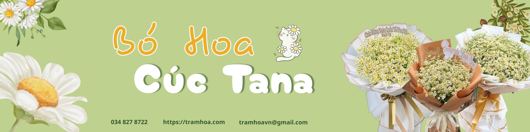 Bó Hoa Cúc Tana