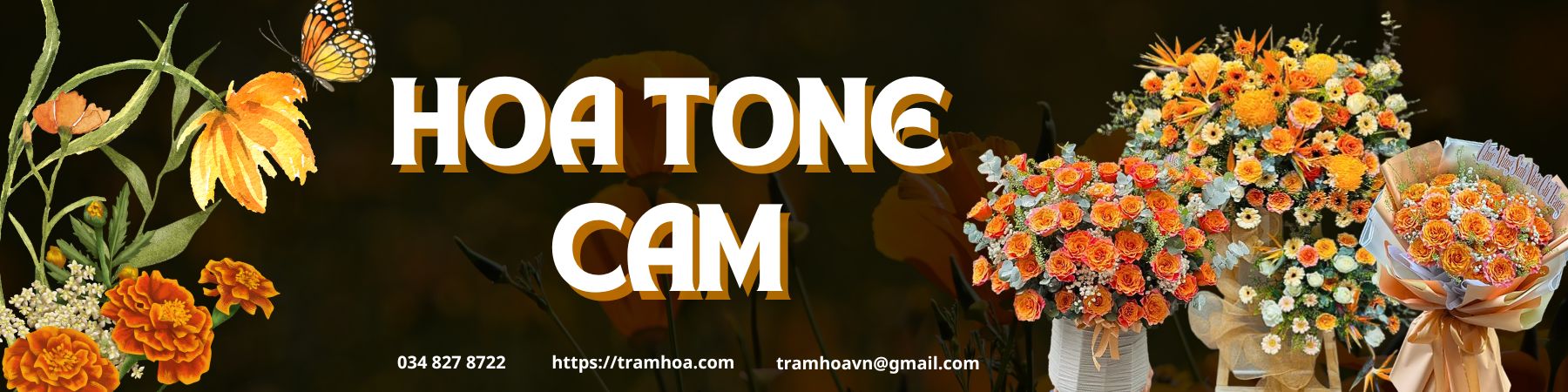 Hoa Tone Cam